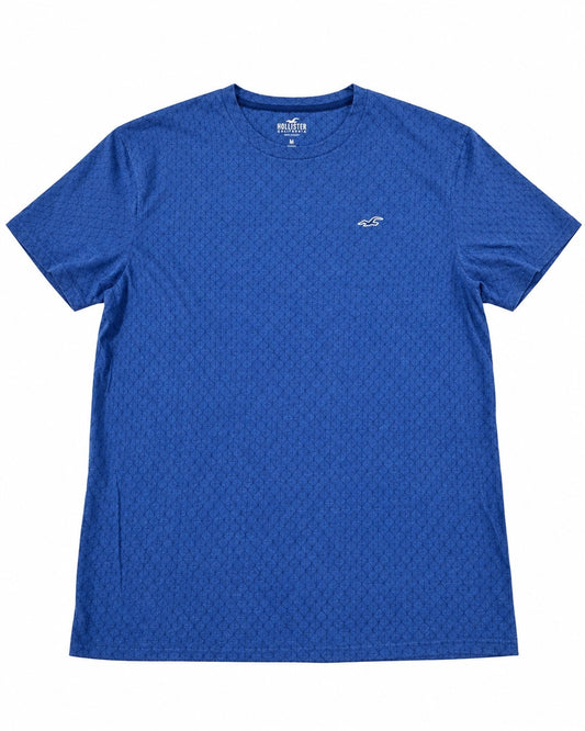 Hollister Icon T-Shirt 🇺🇸