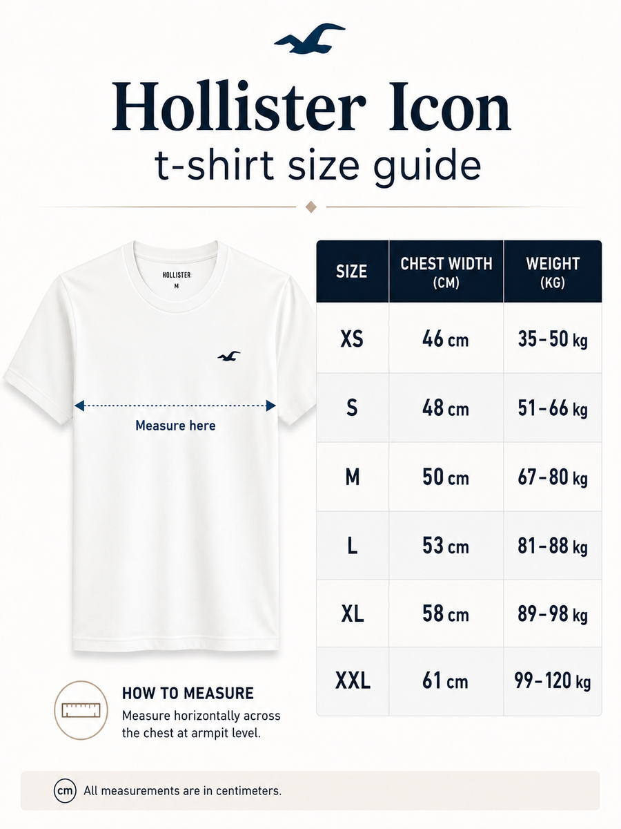 Hollister Icon T-Shirt