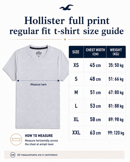 Regular fit Crew Hollister T-Shirt - Pack of 4