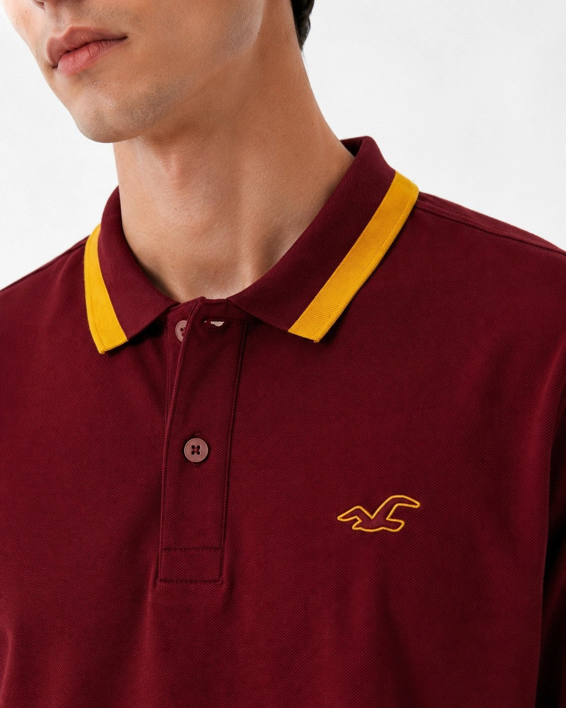 Hollister Icon polo Shirt