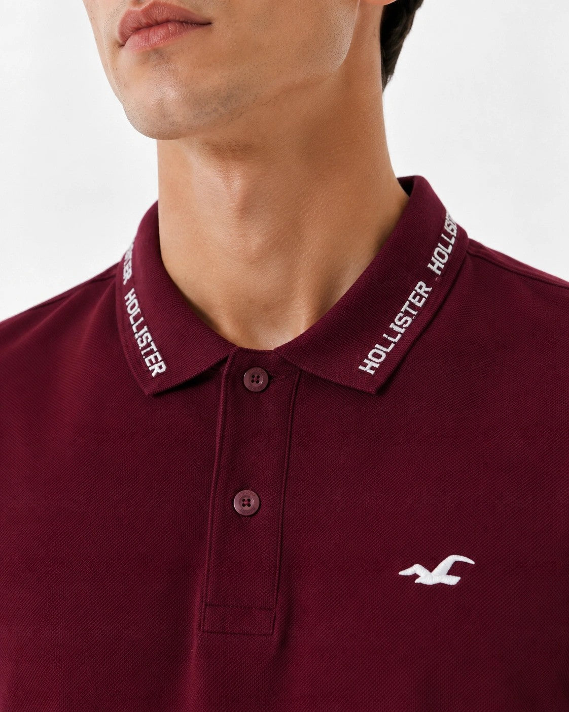 Hollister Icon polo Shirt