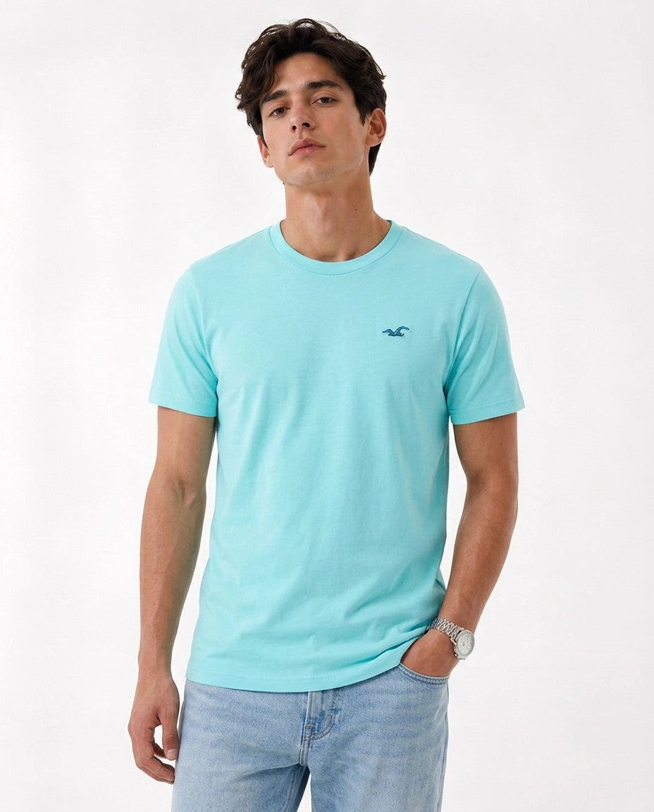 Hollister Icon T-Shirt
