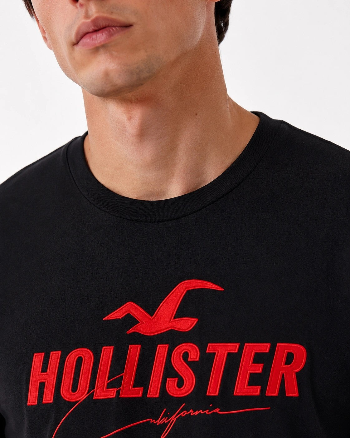 Hollister Graphic cotton Crew T-Shirt