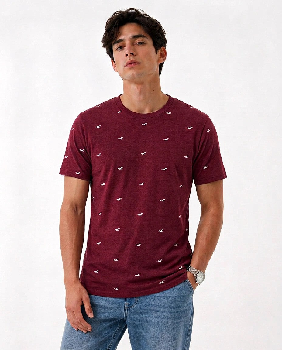 Regular fit Crew Hollister T-Shirt - Pack of 4