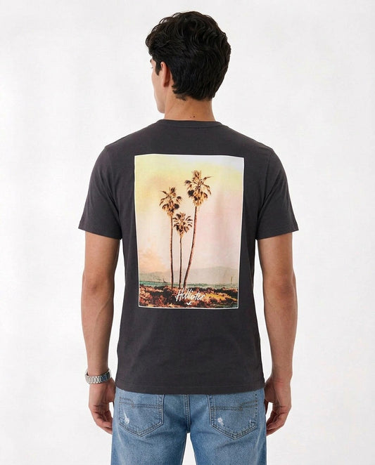 Hollister Graphic cotton Crew T-Shirt