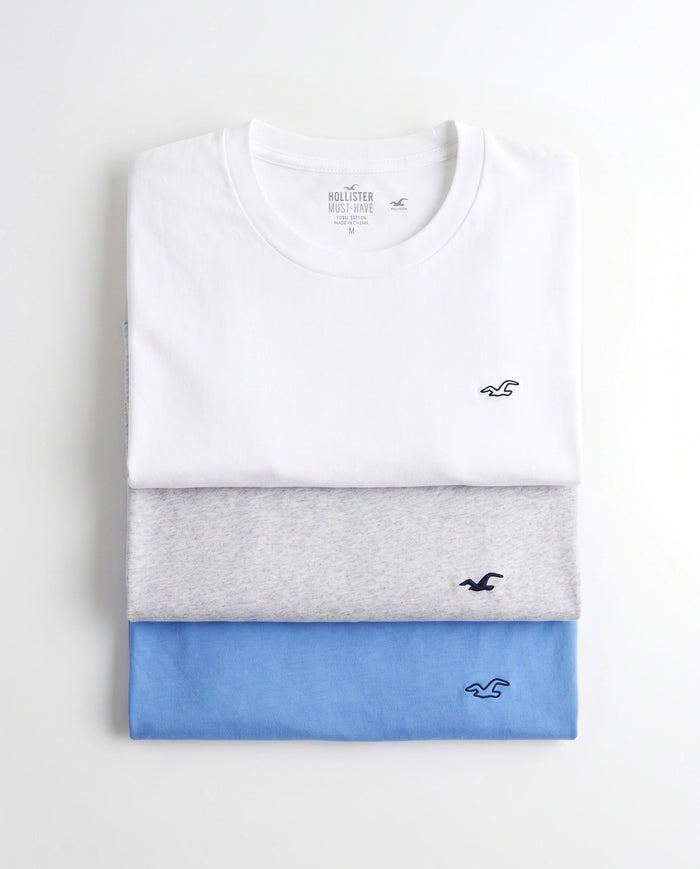 Original Hollister Icon T-Shirt – 3-Pack 🇺🇸