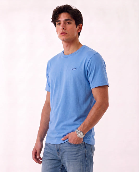 Original Hollister Icon T-Shirt – 3-Pack 🇺🇸