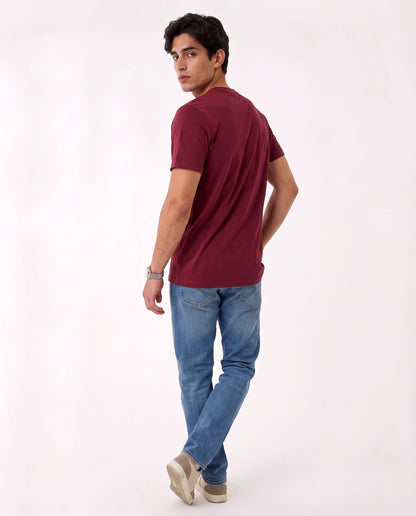 Hollister Icon T-Shirt