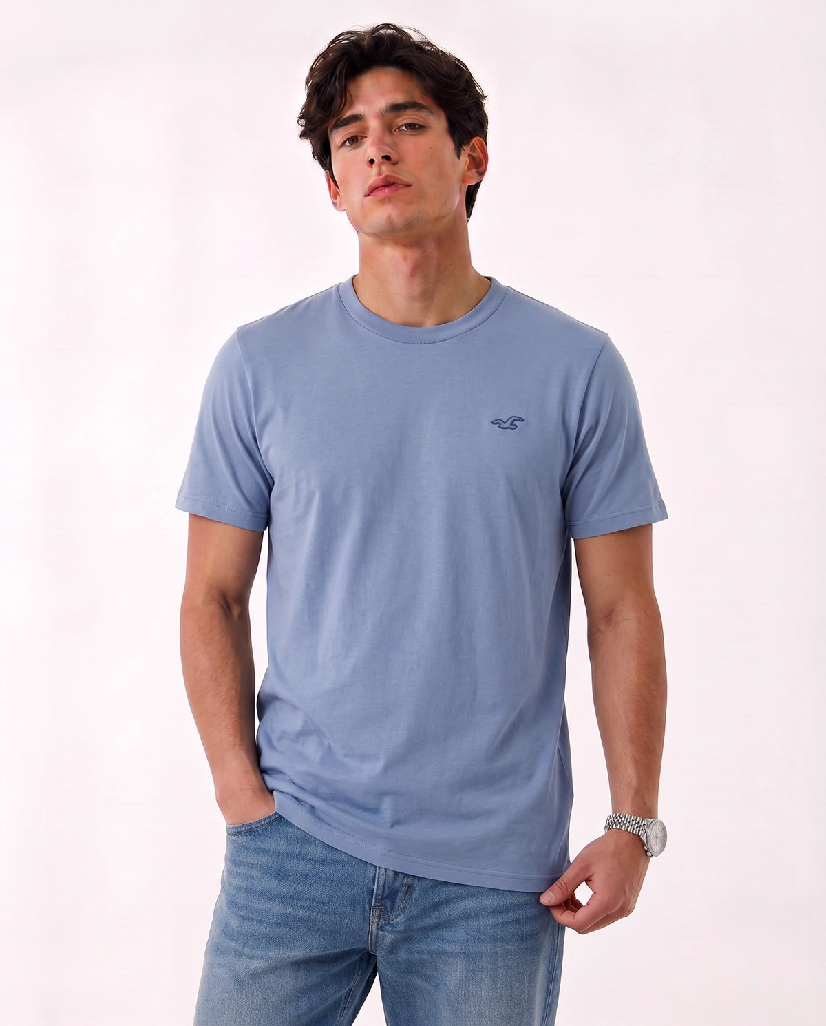 Hollister Icon T-Shirt
