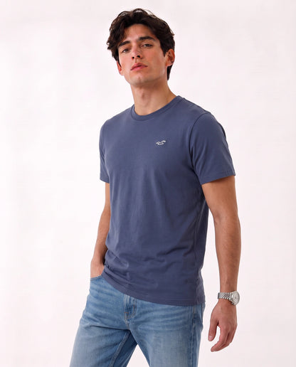 Hollister Icon T-Shirt