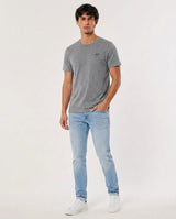 Hollister Icon T-Shirt