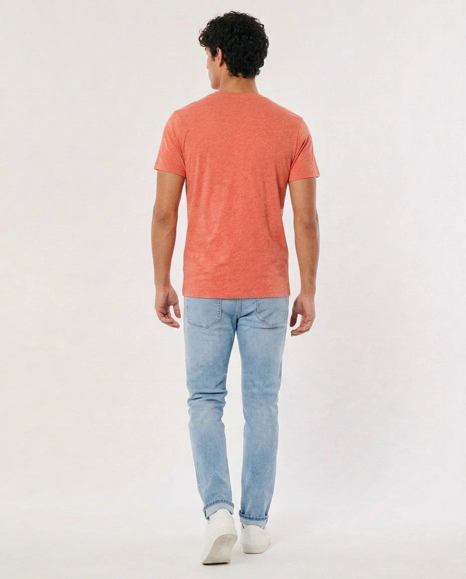 Hollister Icon T-Shirt