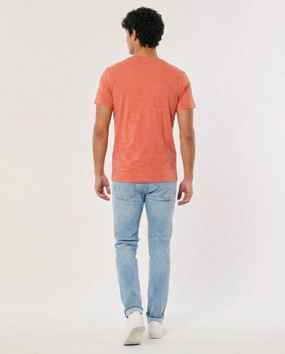 Hollister Icon T-Shirt