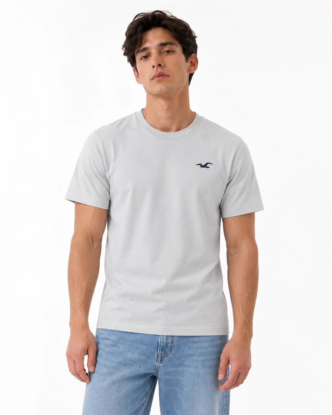 Hollister Icon T-Shirt 🇺🇸