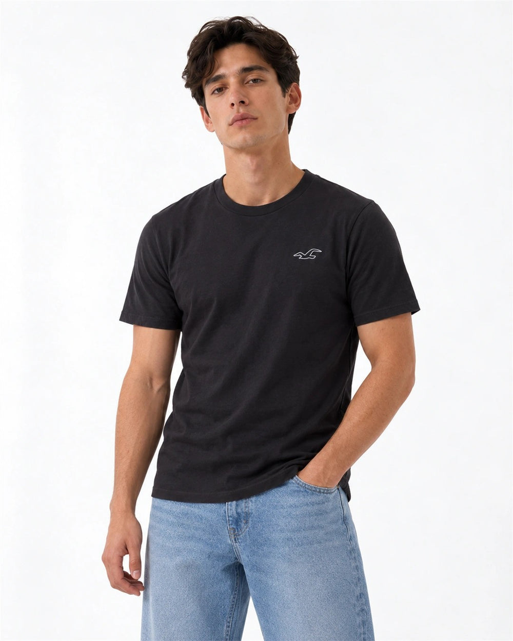 Hollister Icon T-Shirt 🇺🇸