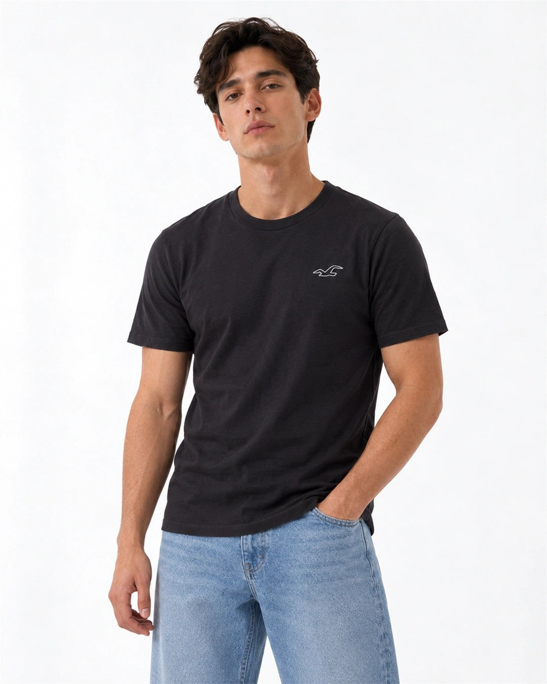 Hollister Icon T-Shirt 🇺🇸
