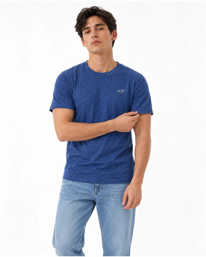 Hollister Icon T-Shirt 🇺🇸