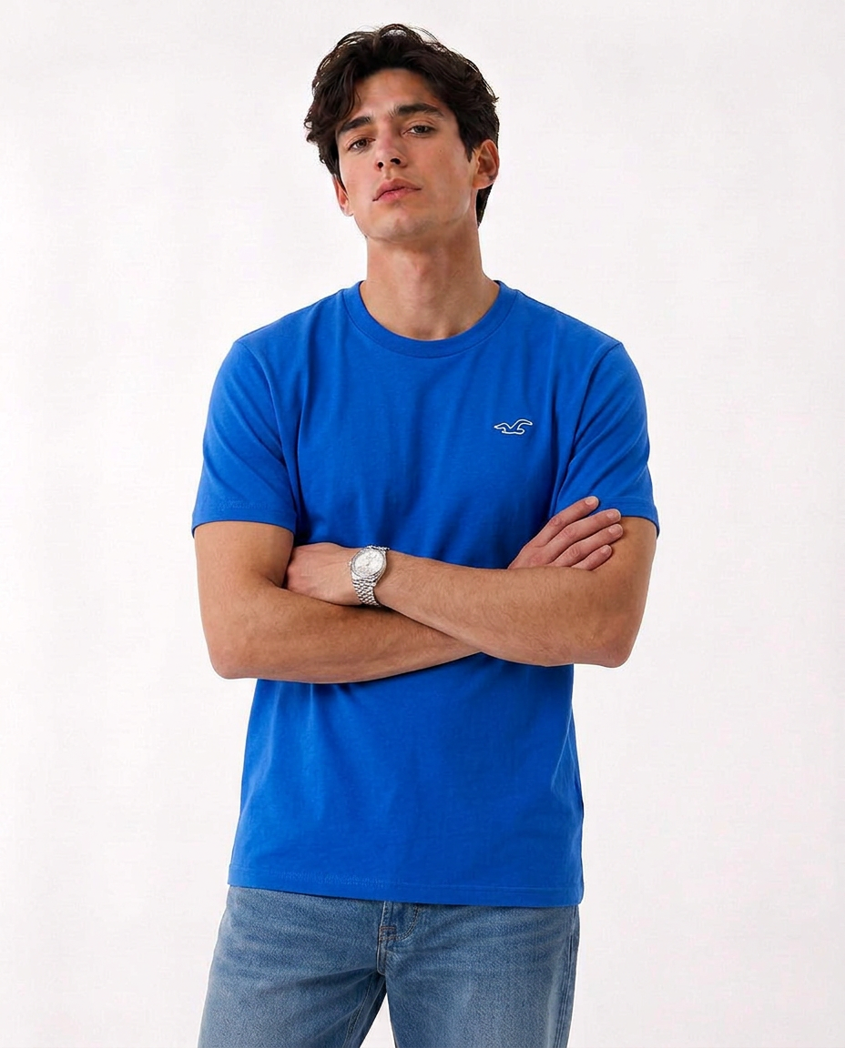 Hollister Icon T-Shirt
