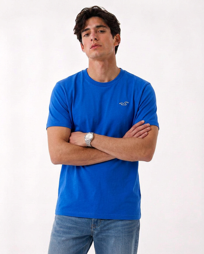 Hollister Icon T-Shirt